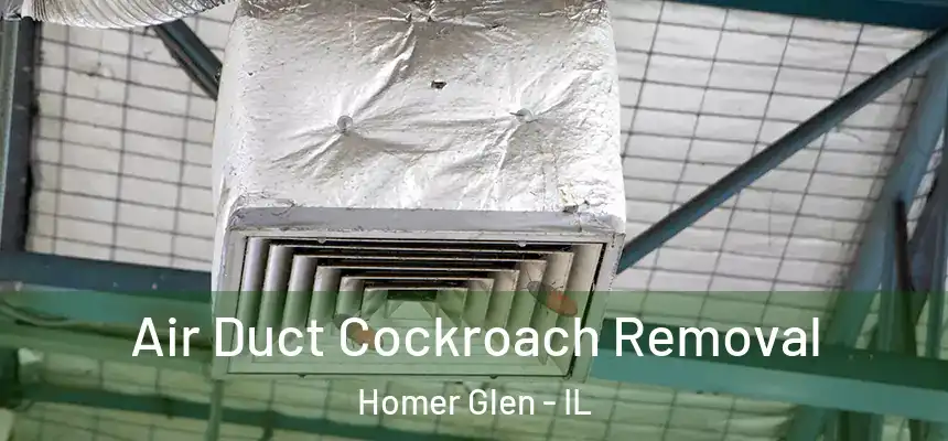 Air Duct Cockroach Removal Homer Glen - IL