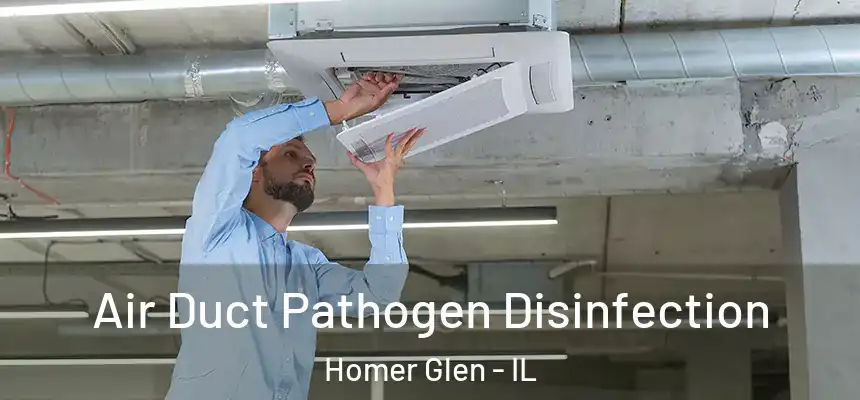 Air Duct Pathogen Disinfection Homer Glen - IL