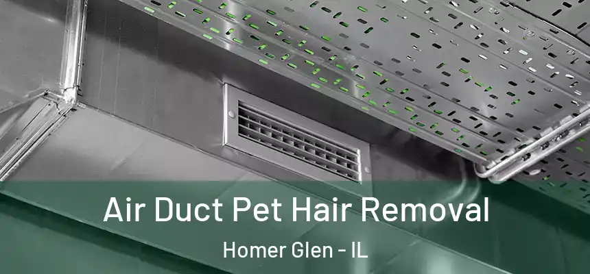  Air Duct Pet Hair Removal Homer Glen - IL