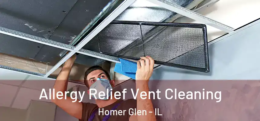  Allergy Relief Vent Cleaning Homer Glen - IL