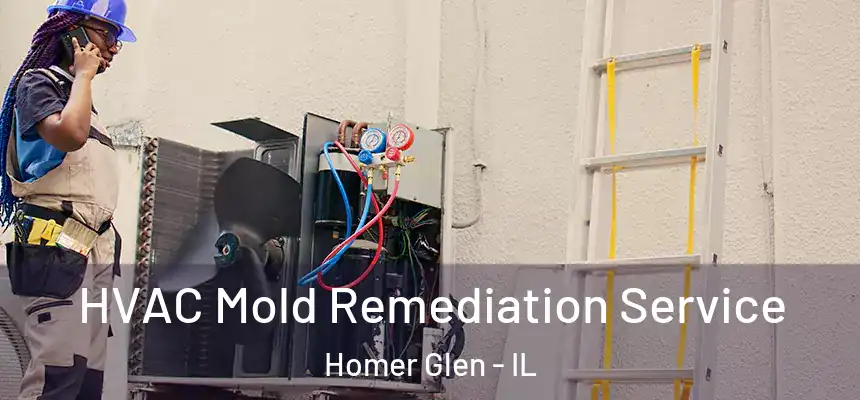  HVAC Mold Remediation Service Homer Glen - IL