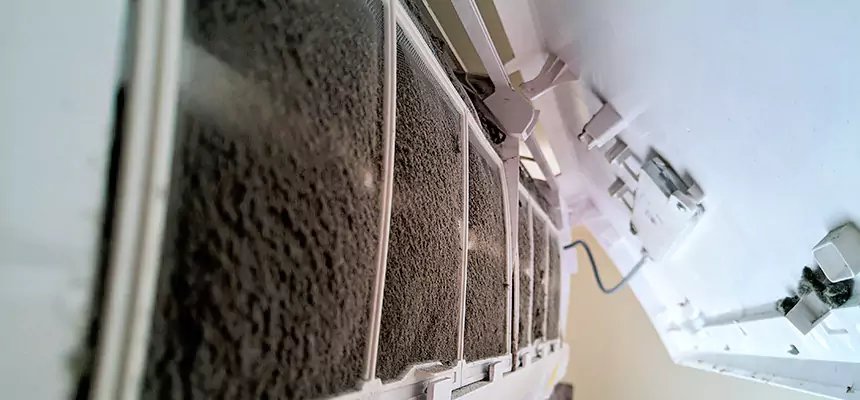 Preventive Air Duct Bacteria Removal in Homer Glen