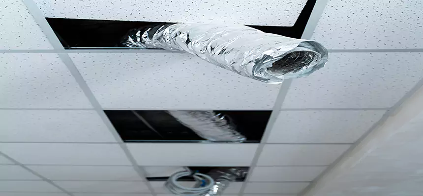 Affordable HVAC Sanitizing After Pest Removal in Homer Glen