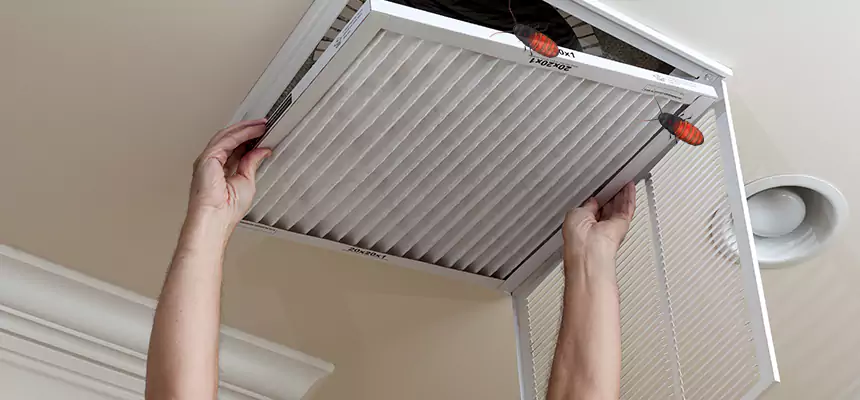 Our Insect Removal from Air Ducts Services in Homer Glen, IL