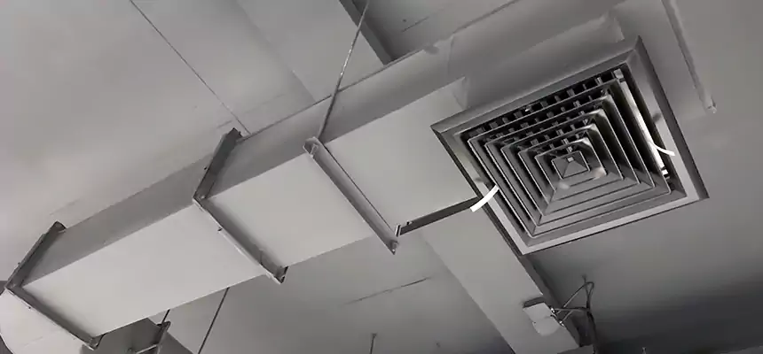 Our Pest Removal From Ducts Services in Homer Glen, IL