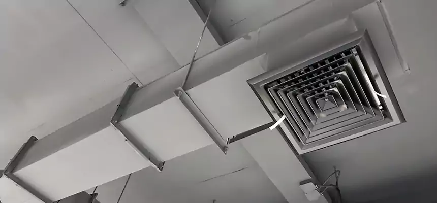 Our Rodent Droppings In Vents Services in Homer Glen, IL