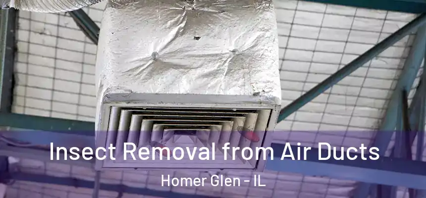  Insect Removal from Air Ducts Homer Glen - IL