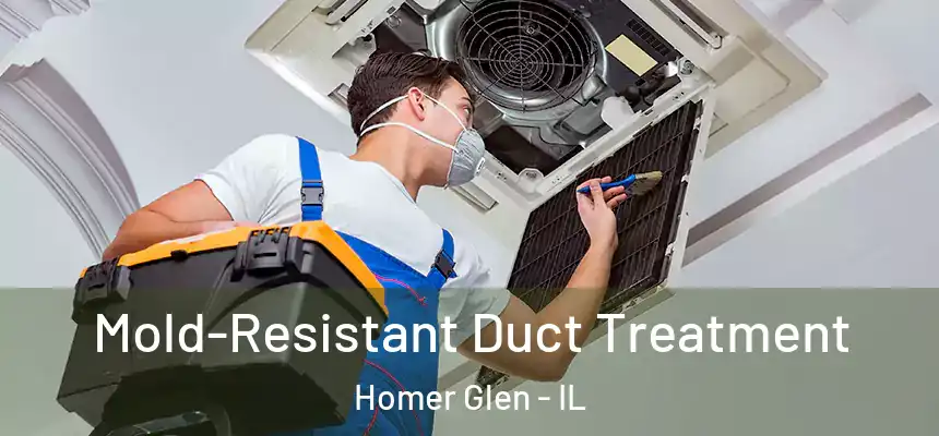  Mold-Resistant Duct Treatment Homer Glen - IL