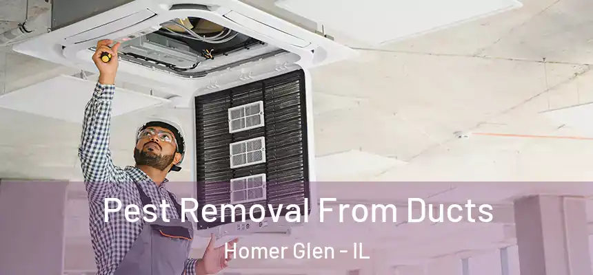 Pest Removal From Ducts Homer Glen - IL