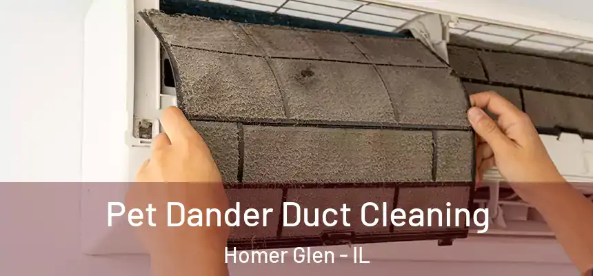  Pet Dander Duct Cleaning Homer Glen - IL