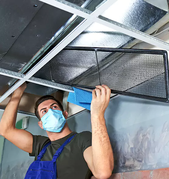 Professional Air Duct Pollen Cleaning in Homer Glen, IL