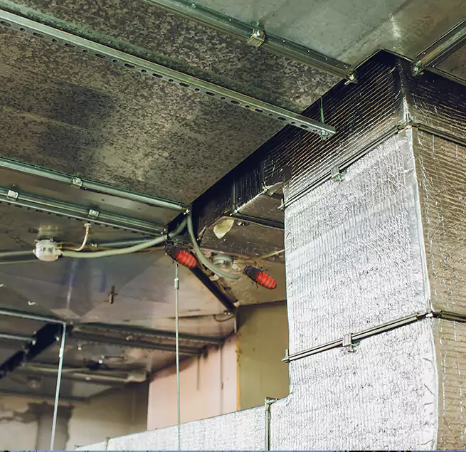 Why Homeowners & Businesses Trust Us in Homer Glen, IL?