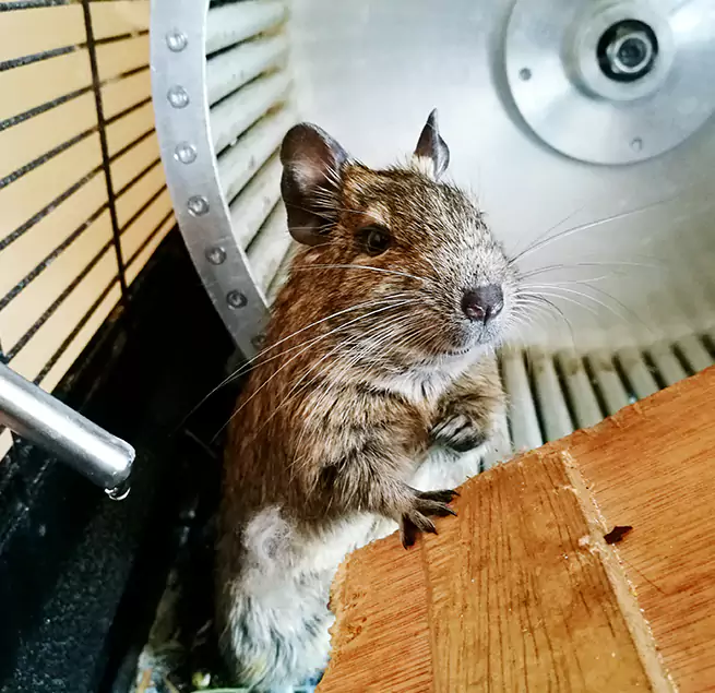 Why Homeowners & Businesses Trust Us Homer Glen, IL