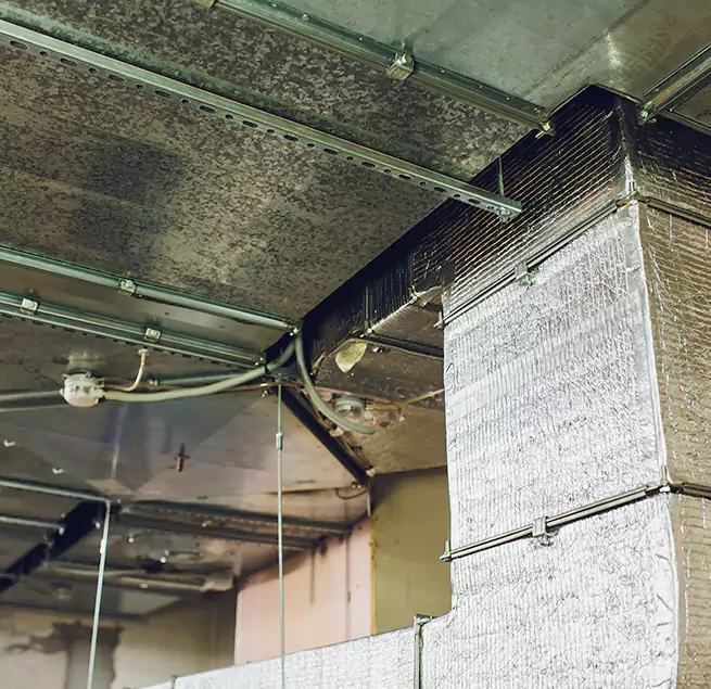 Why Homeowners & Businesses Trust Us in Homer Glen, IL?