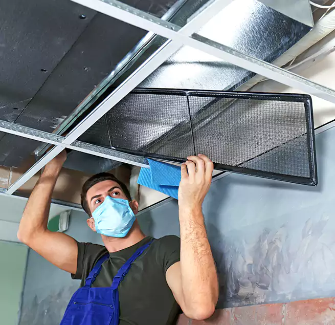 Why Homeowners Businesses Trust Us in Homer Glen, IL